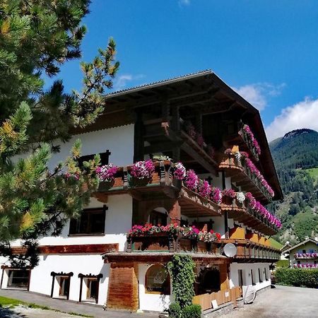 Apartmán Haus Waldesruh Neustift im Stubaital Exteriér fotografie