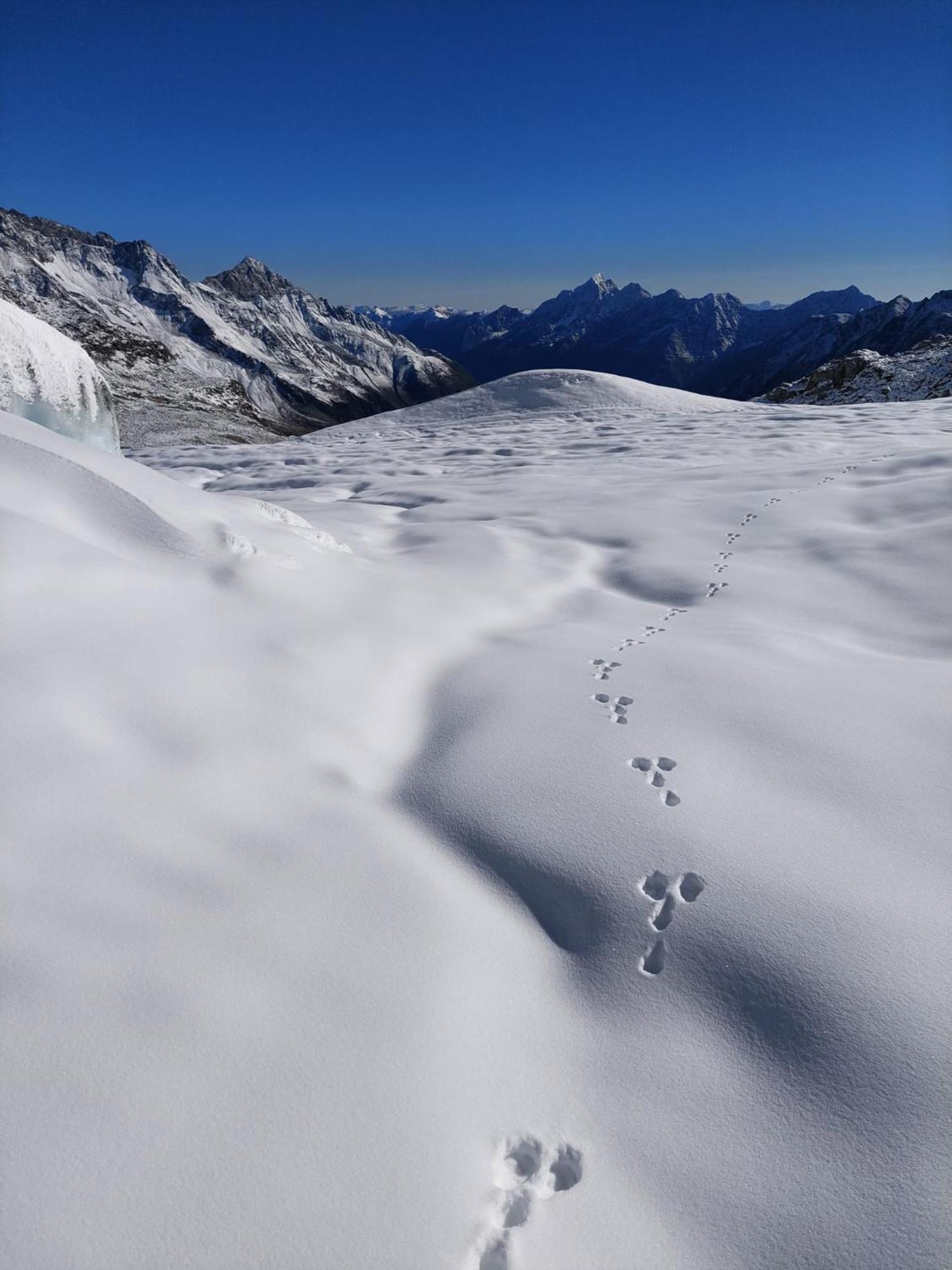 Apartmán Haus Waldesruh Neustift im Stubaital Exteriér fotografie