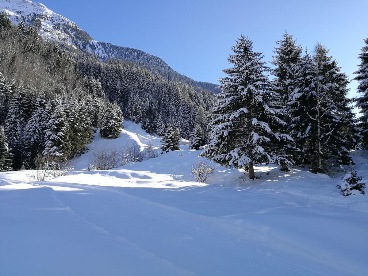 Apartmán Haus Waldesruh Neustift im Stubaital Exteriér fotografie